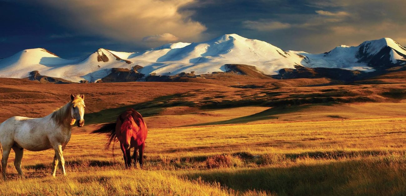 Motosiklet ile Pamir ve Moğolistan 4