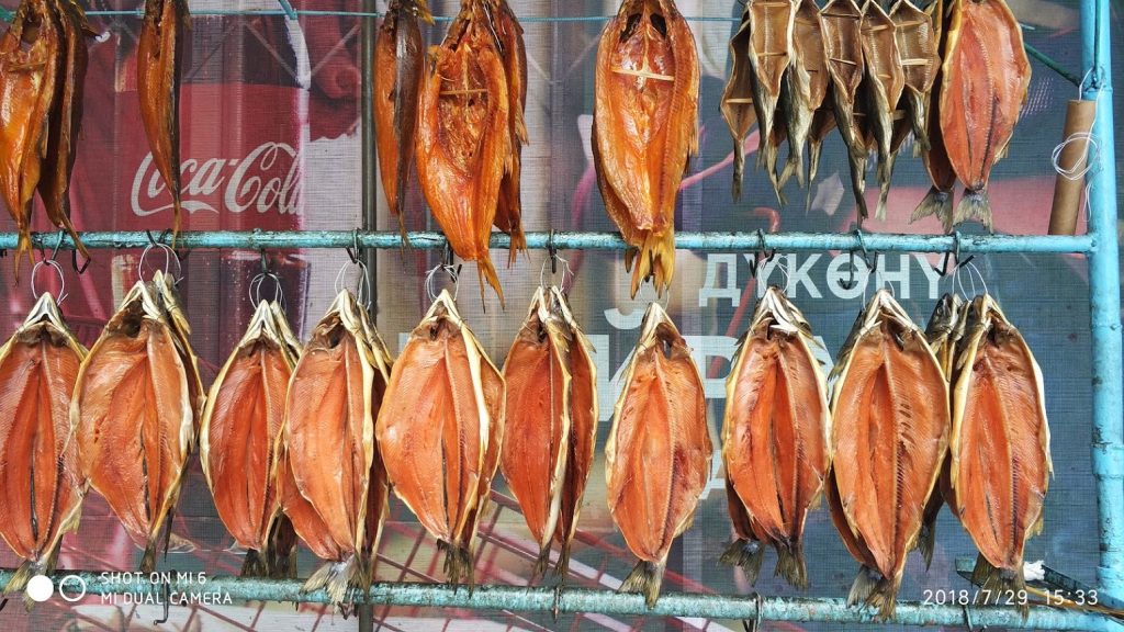 motosiklet seyahatnameleri kırgızistan balıkçı ili meşhur kurutulmuş göl balıkları